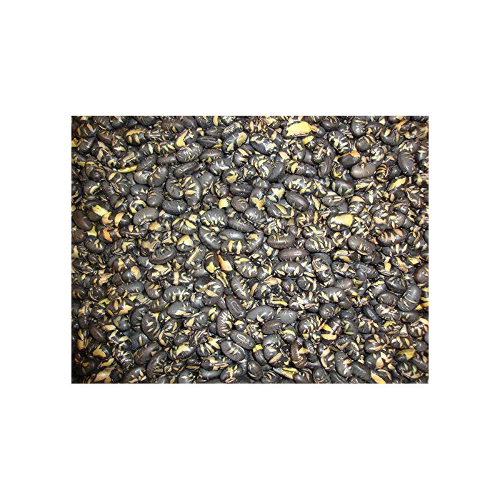 Fèves de Soja Noires 1Kg