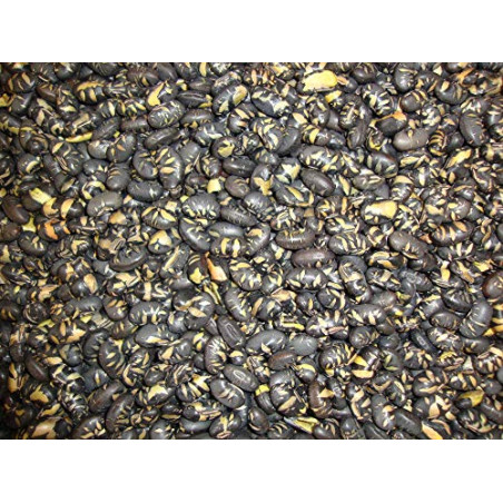 Fèves de Soja Noires 1Kg